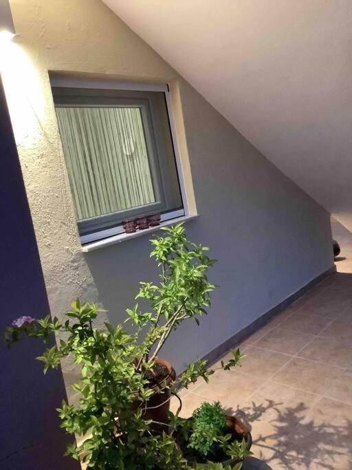 Ng Luxury Apartments At Nea Kallikrateia No 1 Luaran gambar